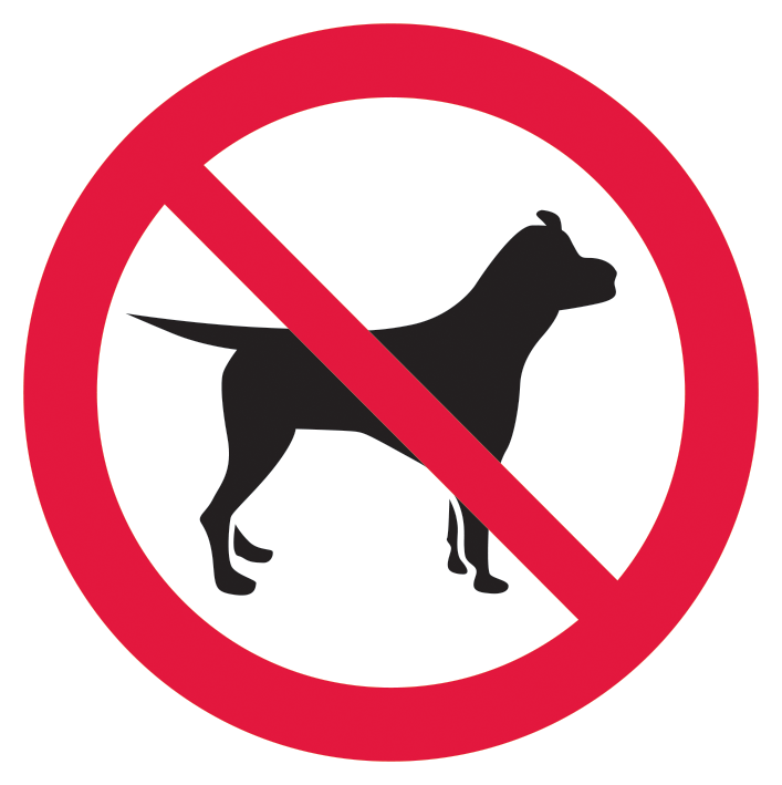 No dogs