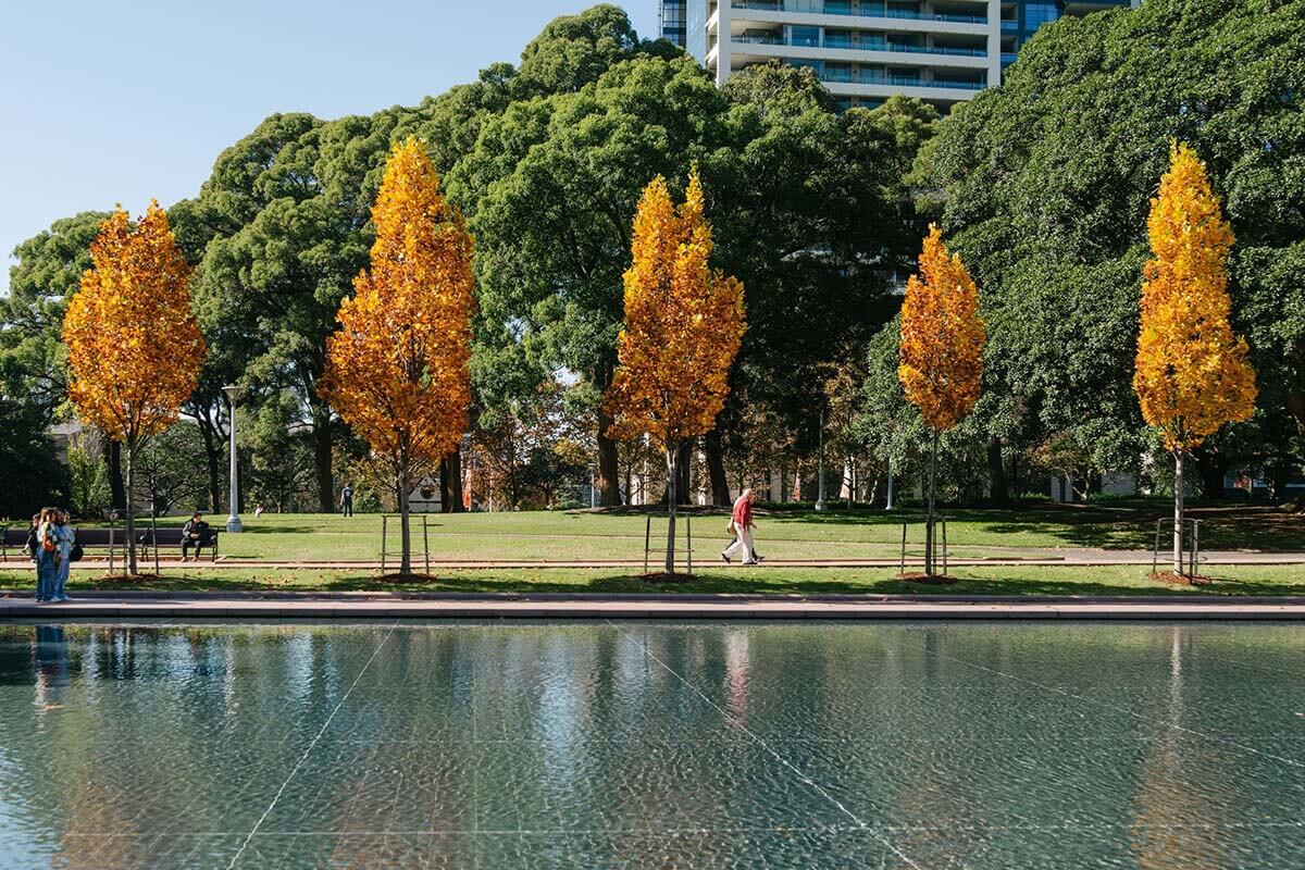 Pedestrians walking in Hyde Park, Sydney NSW. Credit: NSW Department of Planning, Housing and Infrastructure / Lisa Madden