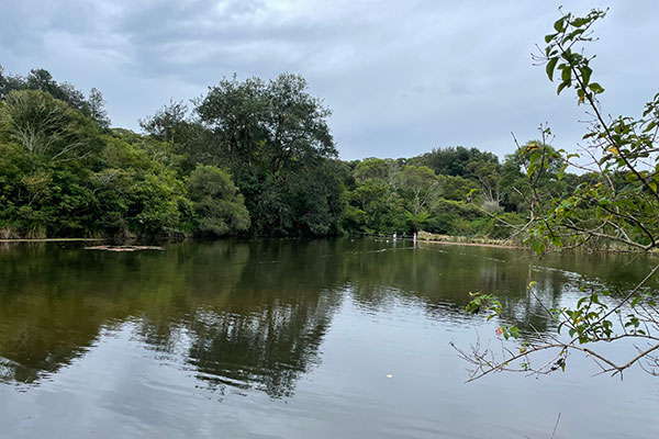 Burwood Colliery Dam near Whitebridge