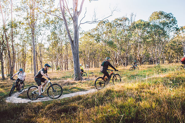 Volunteers and organisations play a huge role managing Crown reserves - Dungog Common mountain bike track