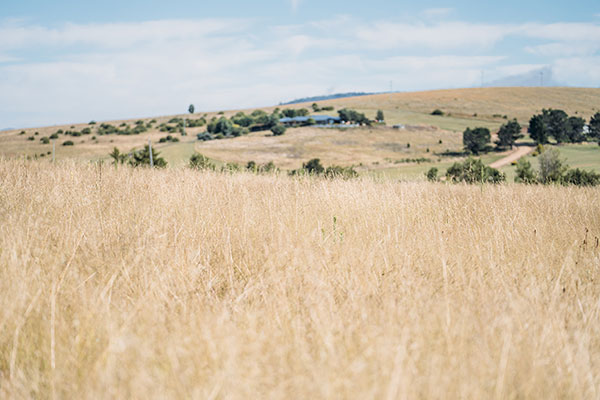Cooma is among locations where Crown land has been identified to support more housing
