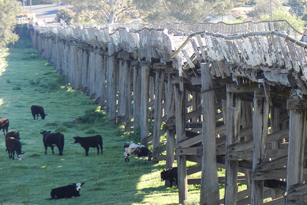 Former Prince Alfred Road Viaduct