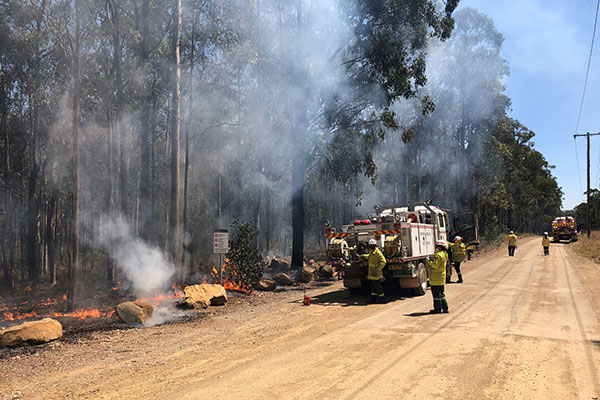 NPWS and RFS undertaking recent hazard reduction burn in the Werakata State Conservation Area