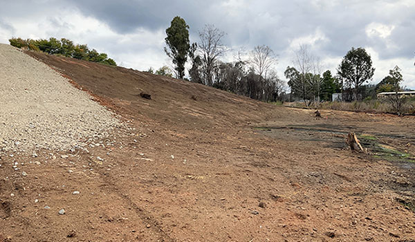 Section of the reserve following removal of the sawdust Section of the reserve following removal of the sawdust