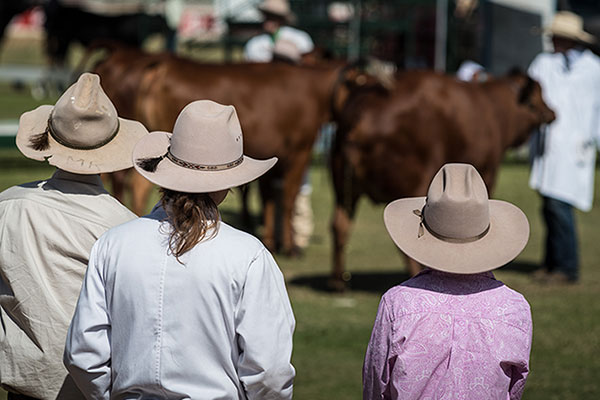 Showgrounds will be among the beneficiaries of Crown Reserves Improvement Fund grants Showgrounds will be among the beneficiaries of Crown Reserves Improvement Fund grants