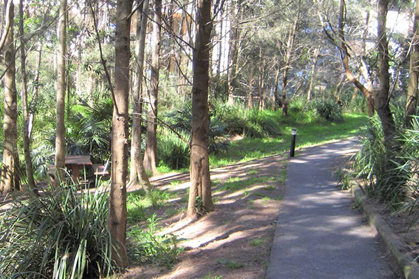 Talus Street Reserve