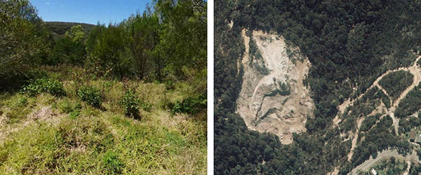 Aerial view of Cowan Quarry