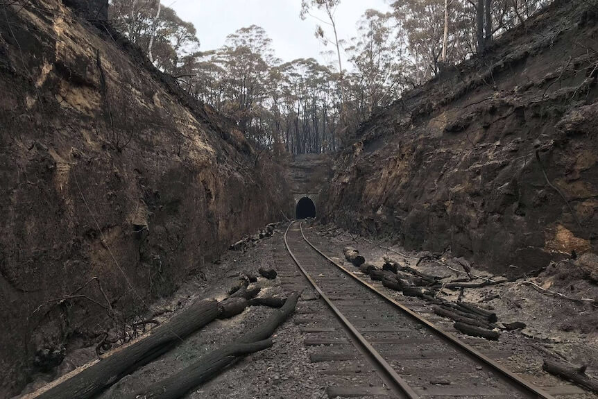 Damage from the 2019 bushfires Damage from the 2019 bushfires