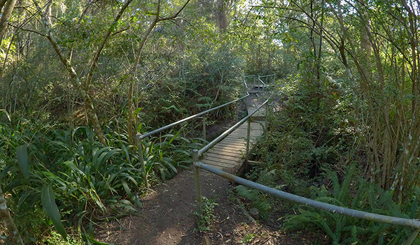 Flaggy Creek Reserve in Charlestown receives $500,000 Flaggy Creek Reserve in Charlestown receives $500,000