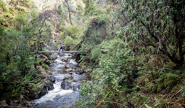 Hume and Hovell Track - Buddong Creek, south west of Talbingo (halfway between Tumut and Tumbarumba)