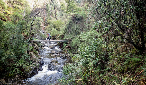 Hume and Hovell Track - Buddong Creek, south west of Talbingo (halfway between Tumut and Tumbarumba) Hume and Hovell Track - Buddong Creek, south west of Talbingo (halfway between Tumut and Tumbarumba)