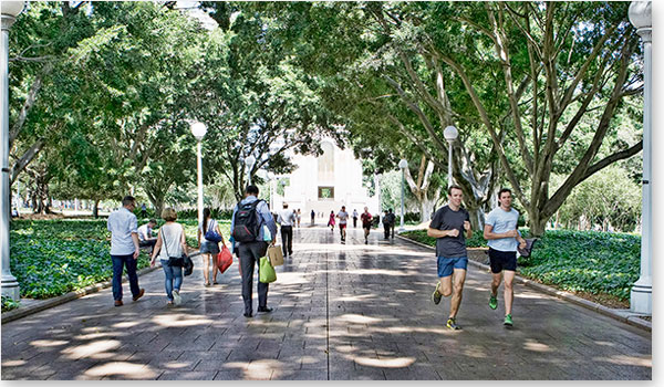 Hyde Park, Sydney CBD Hyde Park, Sydney CBD