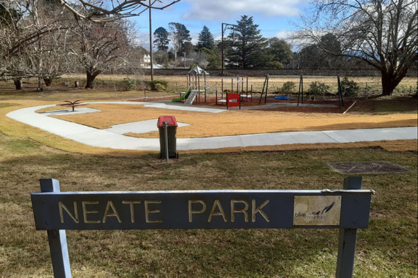The $100,000 upgrade to Neate Park delivered a picnic table, nest swing, new turf and an accessible pathway.