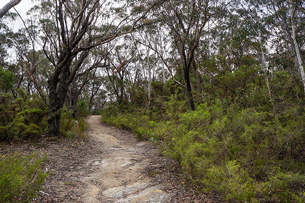 Sic foot track between Katoomba and Jenolan Caves